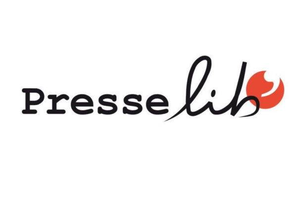 pyrenees-camper-presse